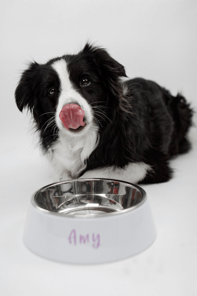 Miska pre Psa s Vlastnou Potlačou | 2 v 1 Nerezové Dno