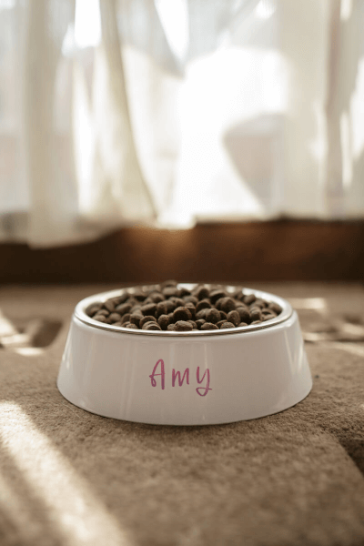 Potlač na Misku pre Psa