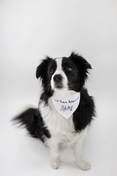 Šatka s Vlastnou Potlačou pre Psa na suchý zips 45 - 60 cm