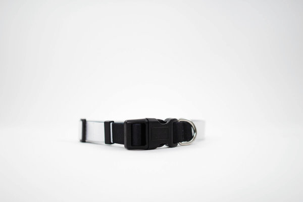 Psí Obojok s Vlastnou Potlačou (S) | Puppynator.sk