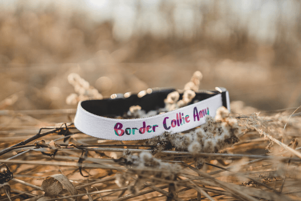 Psí Obojok s Vlastnou Potlačou (S) | Puppynator.sk