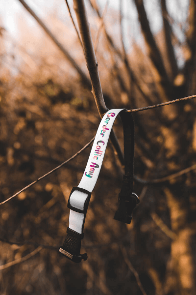 Psí Obojok s Vlastnou Potlačou (S) | Puppynator.sk