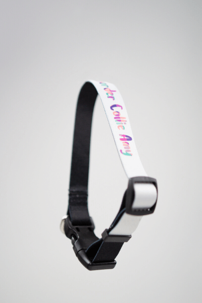 Vlastná Potlač na Obojok pre Psa (M) | Puppynator.sk