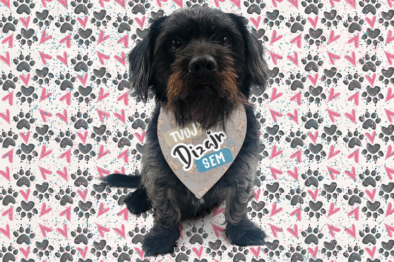 Potlač na šatku pre psa alebo mačku - puppynator.sk